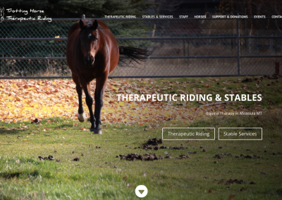 Trotting Horse Therapeutic Riding