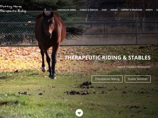 Trotting Horse Therapeutic Riding